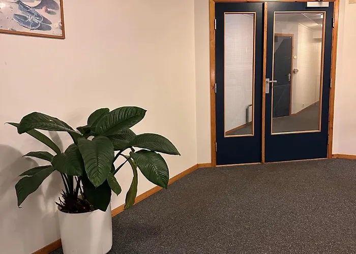 Harmony Tasta * 斯塔万格